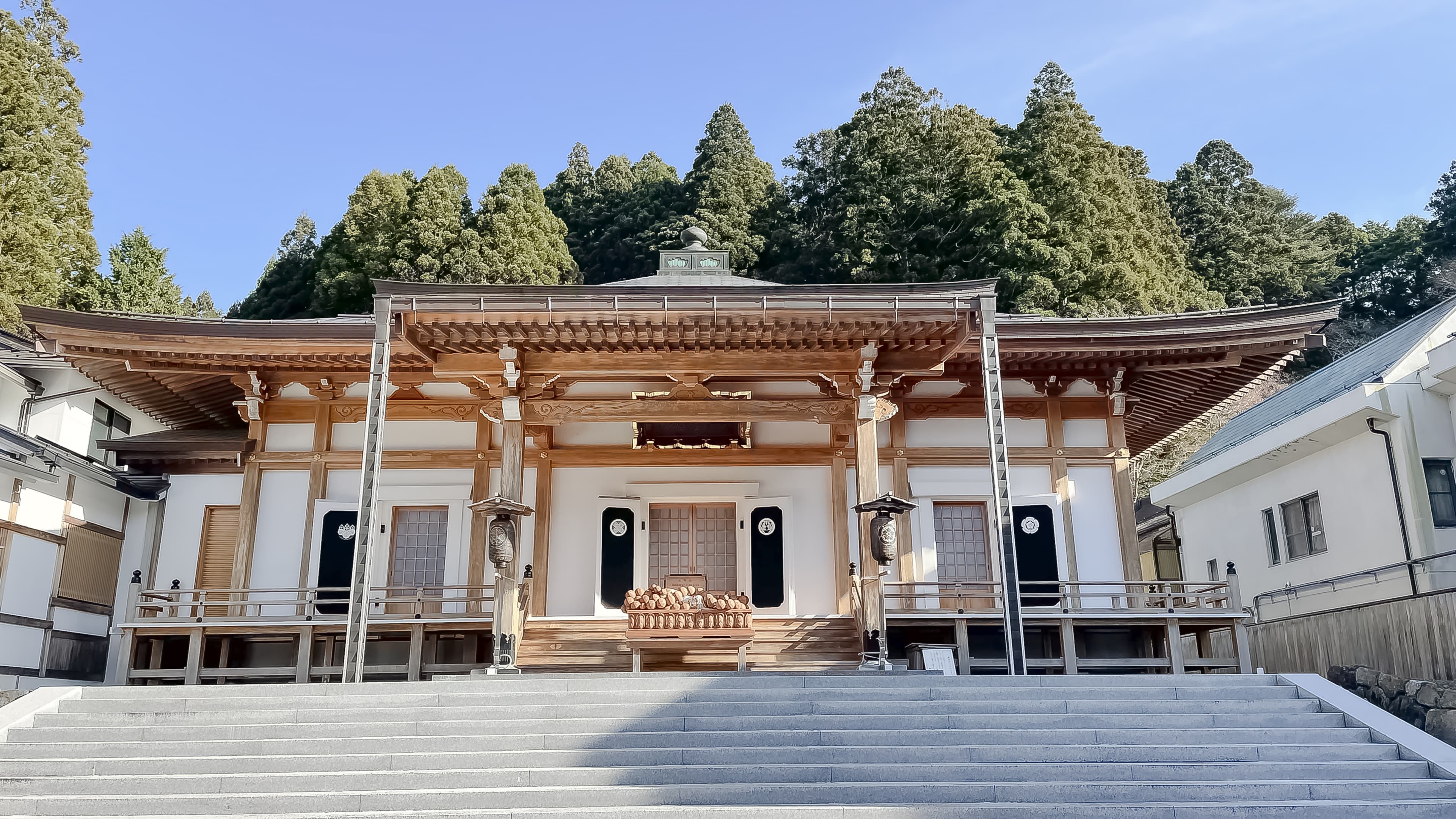 高野山観光おすすめ2026年版|世界遺産の聖地を巡る定番スポットと宿坊ガイド