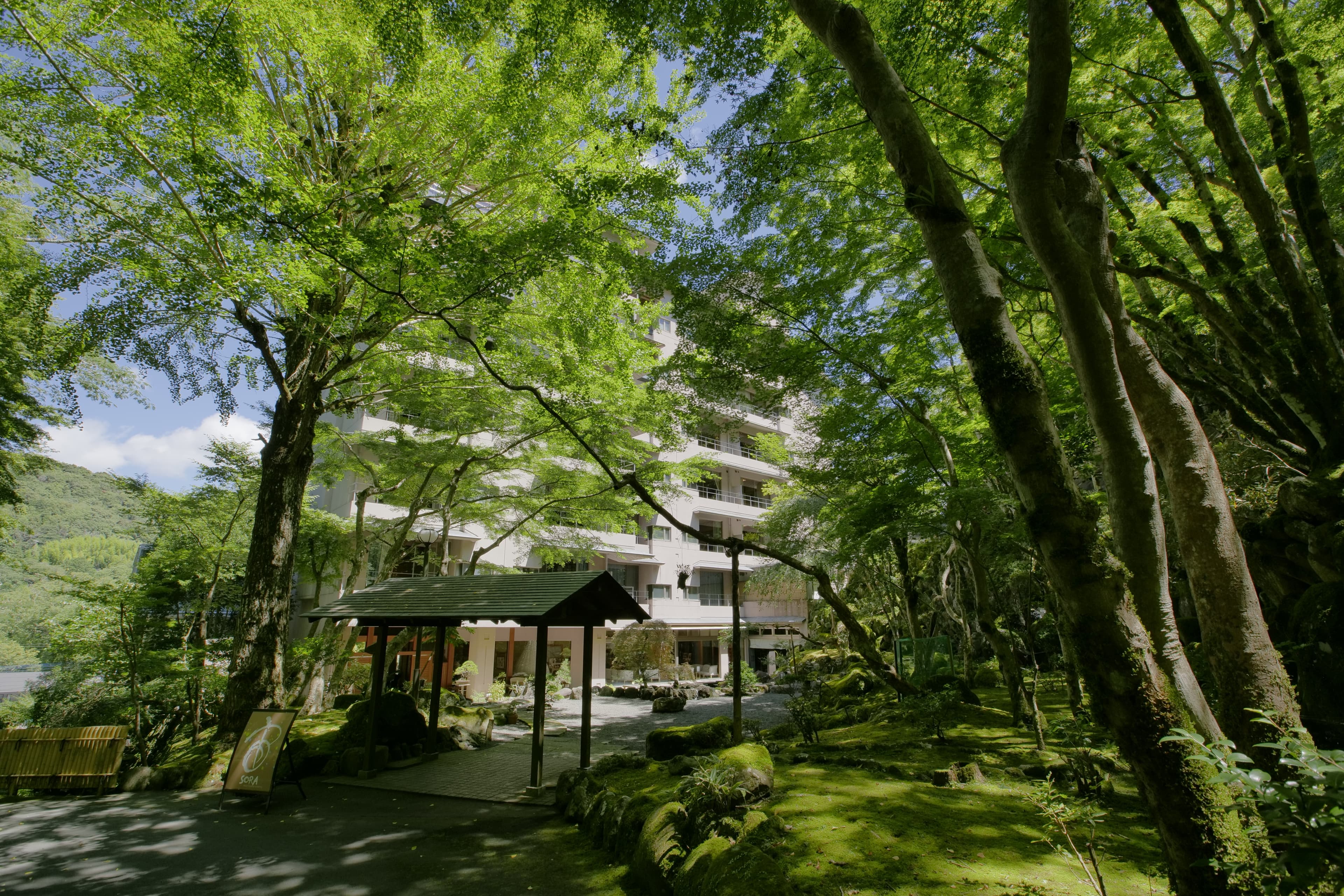 【2026年最新】修善寺のかわいいホテル・旅館3選|おしゃれな和モダン宿で非日常ステイを
